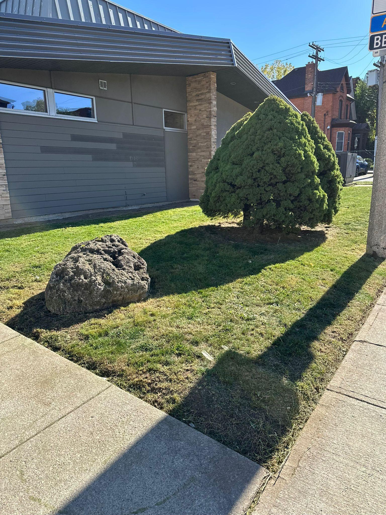 The same lawn, mowed and edged.